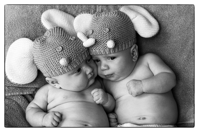Twins - Photo by Jay Bryant